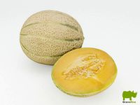 Melons 3D Model
