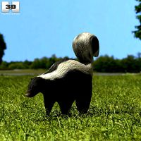 Skunk