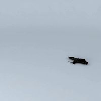 Shockwave Class Fighter Interceptor FI1300A