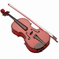 Viola 004