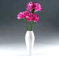 Ornamental plant 15  Dianthus carnation