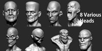 Various Heads