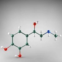 Molecule Adrenaline