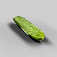Cucumber