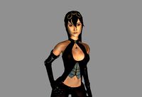 Elven assassin