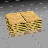 Sacks3D MAX 2011