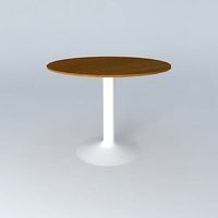 Roundtable CIRCLE houses the world