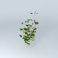 3D fuitier currant shrub tree