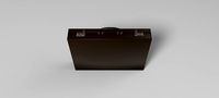 Briefcase 1