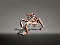 Terrifying Creature Rigged