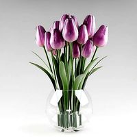 Ornamental plant 10 violet tulips