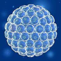 Virus 04