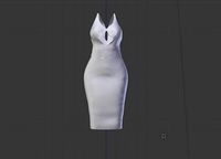 Open Front Dress