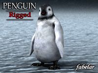 Emperor Penguin Chick