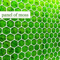 Fytowall moss 3D 2