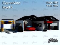 Car service level
