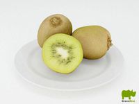 Kiwi 3D Model