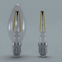 LED FLAMENT BULB No2
