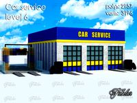 Car service level