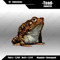 Toad Animated