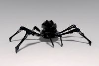 Sci-Fi Spider