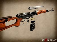 AAA FPS Dragunov SVD
