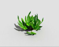 Low poly Plant