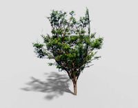 low poly tree