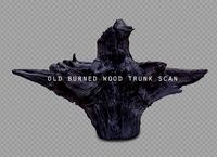 old burned wood trunk