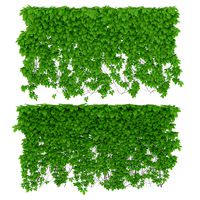 The wall of a parthenocissus 2 items