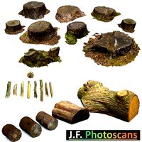 Woodland Photoscan Objects