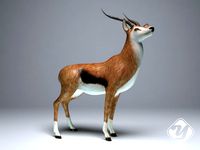 Antelope for 3ds Max