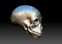 skull