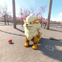 Arcanine Pokemon