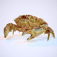 Rigged Crab Alien Crustacean