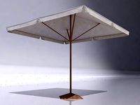 Parasol