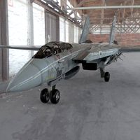 F 14 Tomcat for Poser