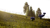 Meadow