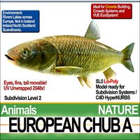 European Chub A