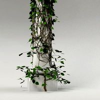 Plant and column 03