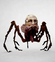 Spider Zombie