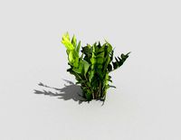 Low poly Plant
