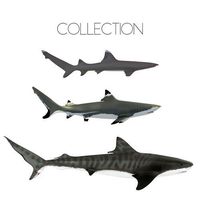 Sharks collection