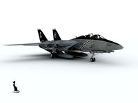 F-14 Tomcat