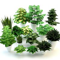 Forest flowers and plants set