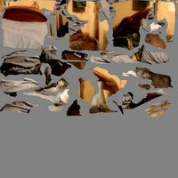 Bed using Photos to create
