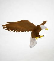 Eagle Strike