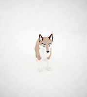 Siberian Husky