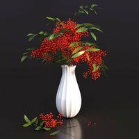 Sorbus branches