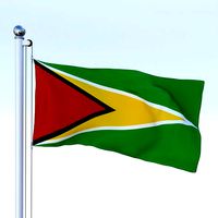 Animated Guyana Flag